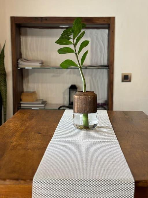 La Casa Vieja Villa Santa Cruz de Tenerife Kültér fotó