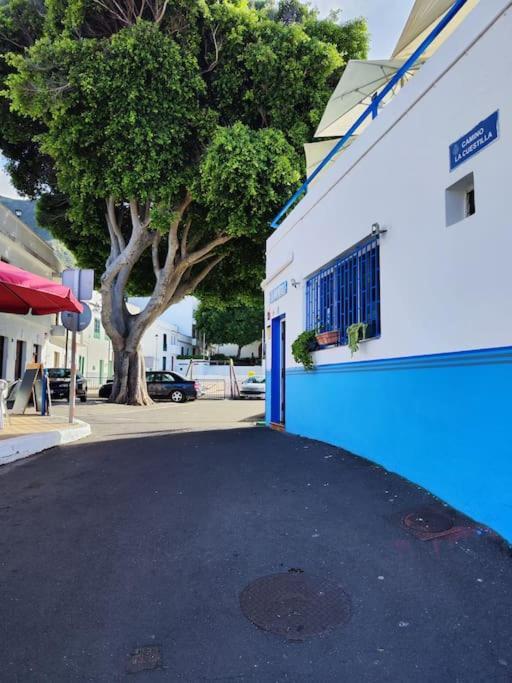 La Casa Vieja Villa Santa Cruz de Tenerife Kültér fotó