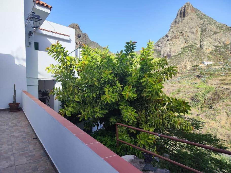 La Casa Vieja Villa Santa Cruz de Tenerife Kültér fotó